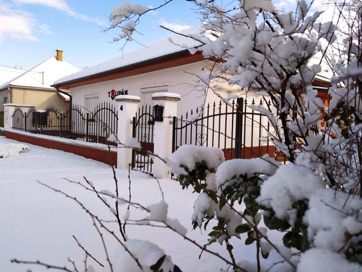 Apartament Tulipan Vendeghaz Sárospatak Zewnętrze zdjęcie