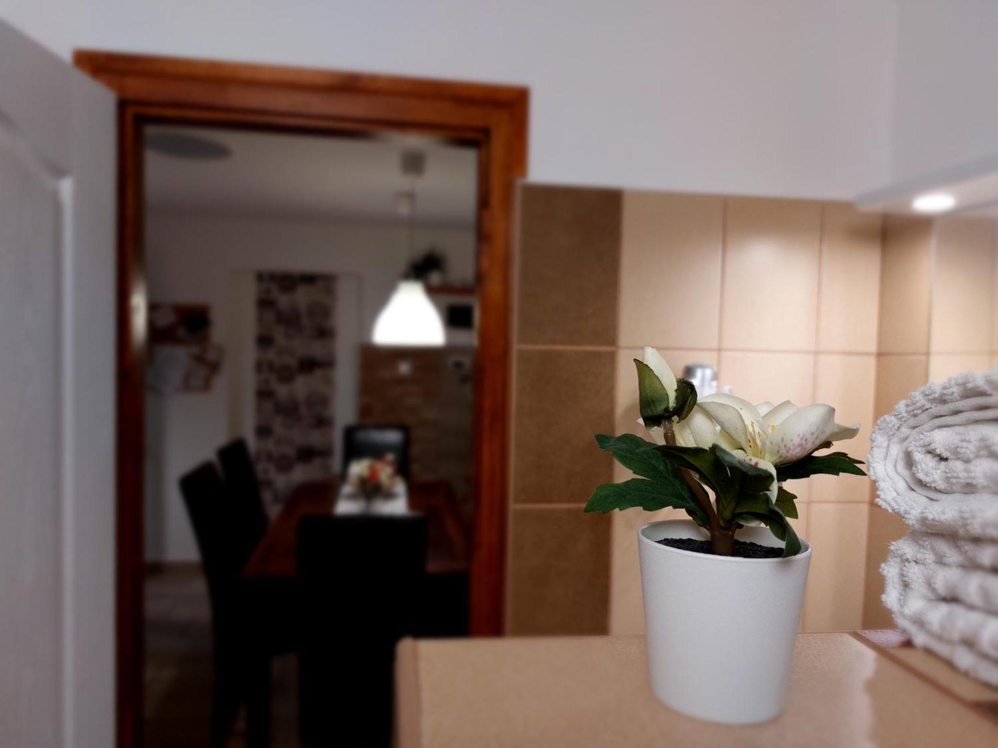 Apartament Tulipan Vendeghaz Sárospatak Zewnętrze zdjęcie