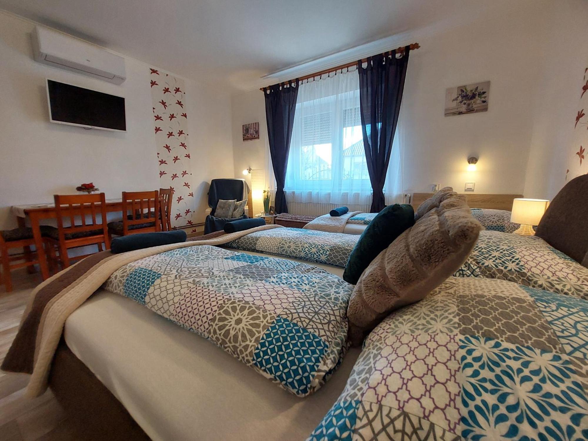 Apartament Tulipan Vendeghaz Sárospatak Zewnętrze zdjęcie